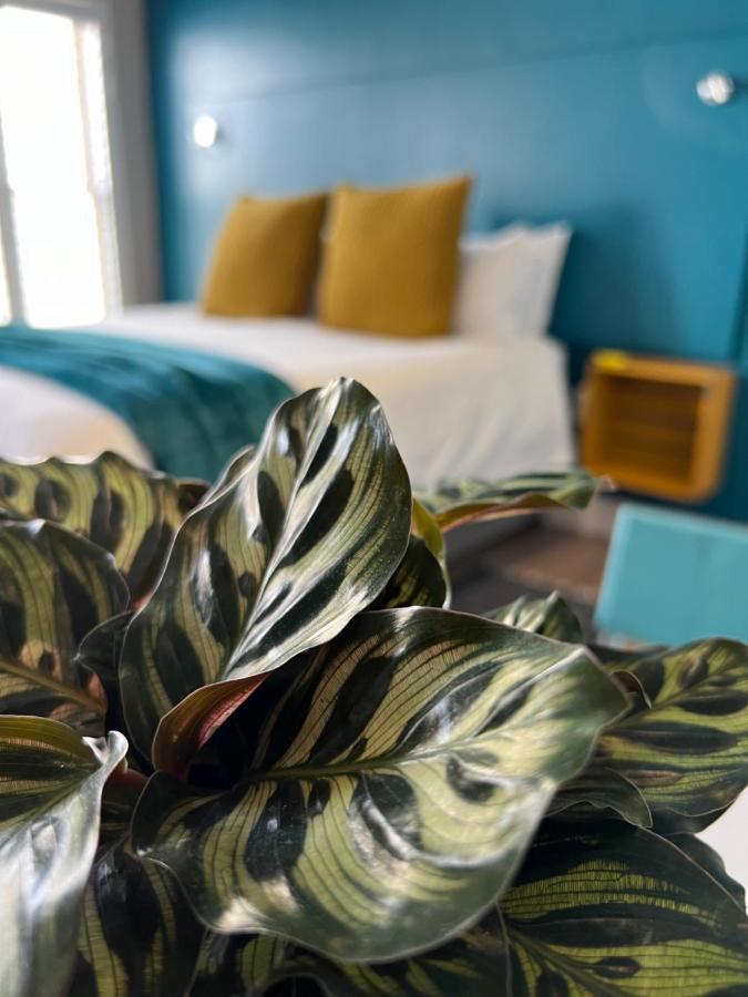 Hermanus Waterfront Apartment No 17 Buitenkant foto